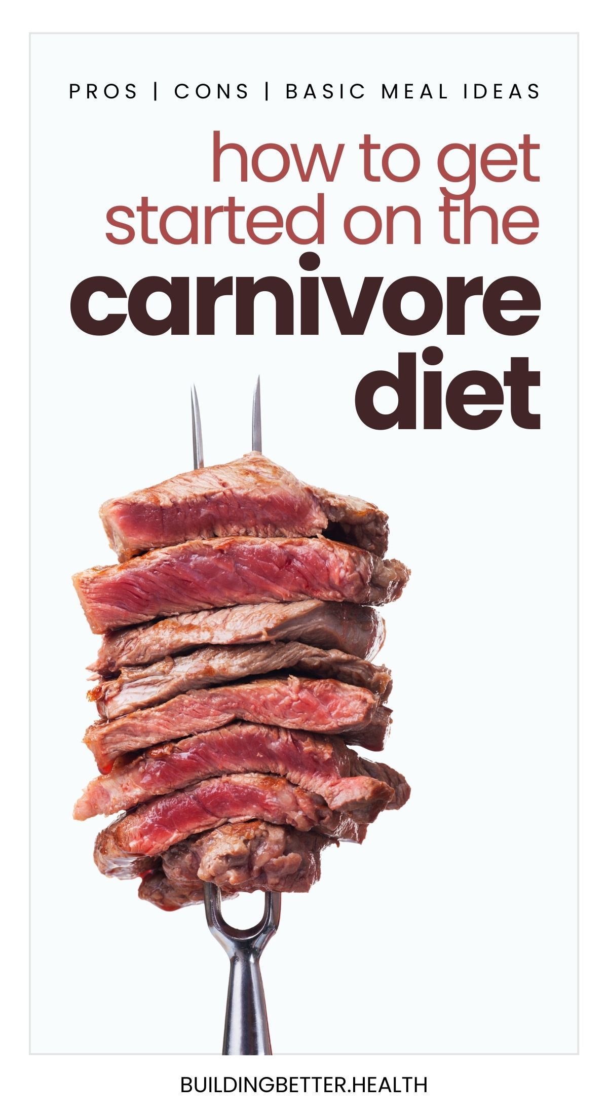 how to get started on the carnivore diet