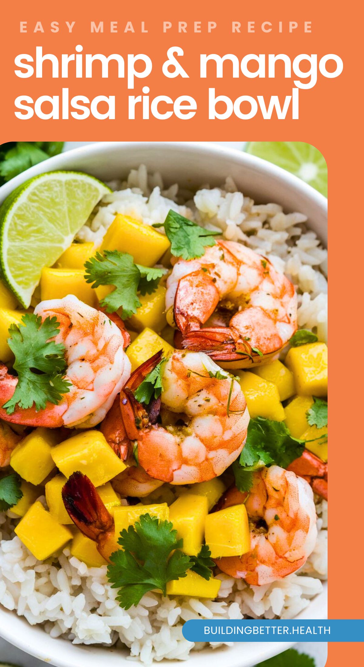 Zesty Shrimp and Mango Salsa Rice Bowls