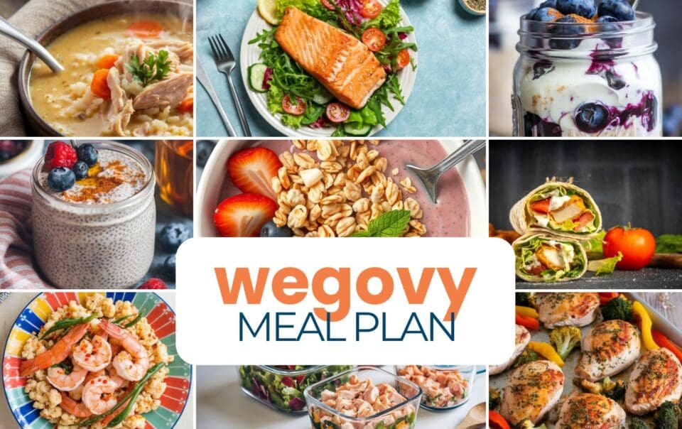 Wegovy Meal Plan