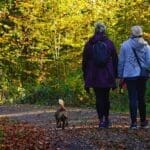 Why Do People Move Less After Starting Zepbound or Wegovy? What New Research Found